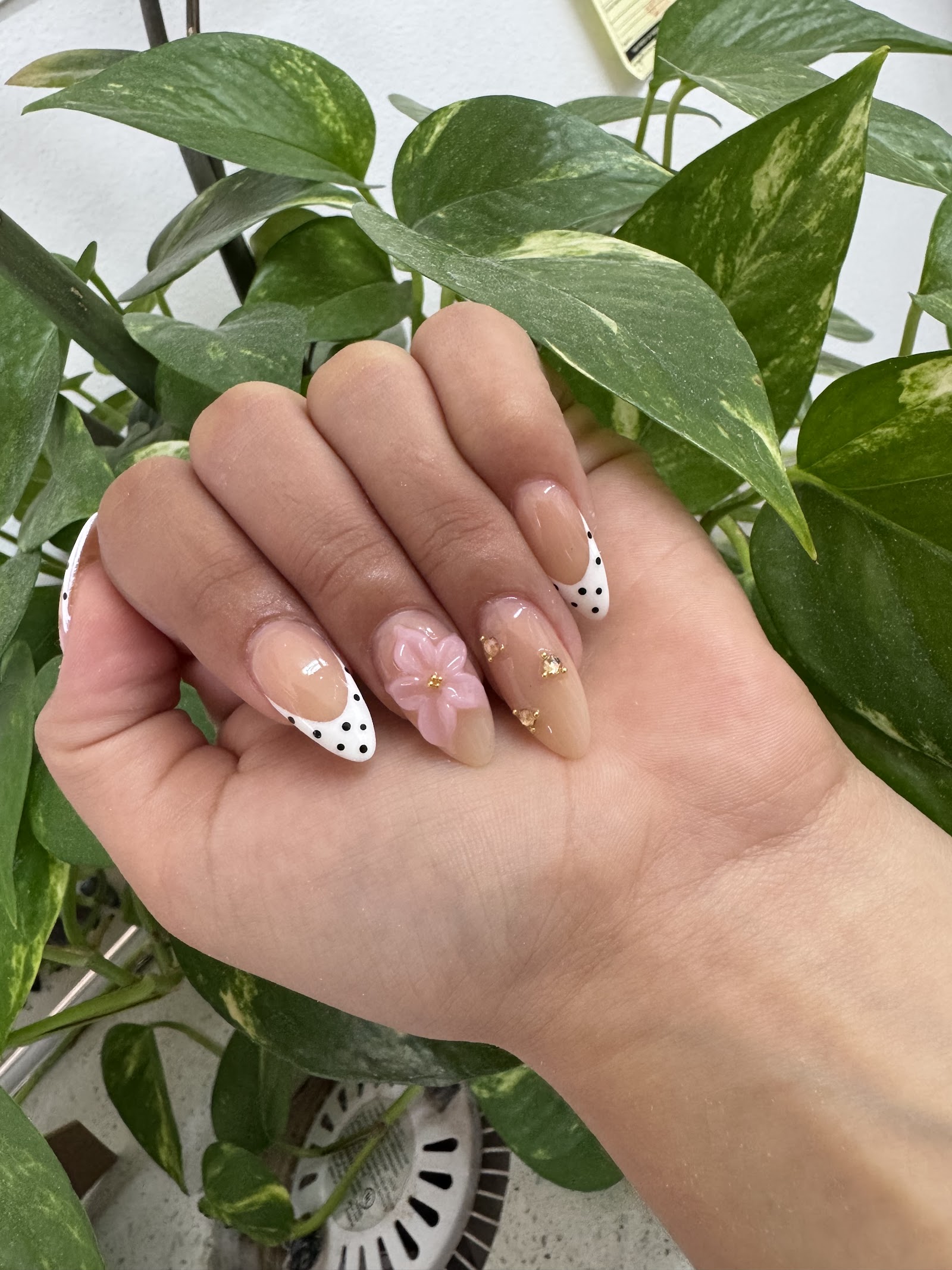 Hello Nail Spa nail photo 3